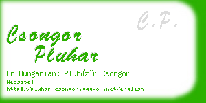 csongor pluhar business card